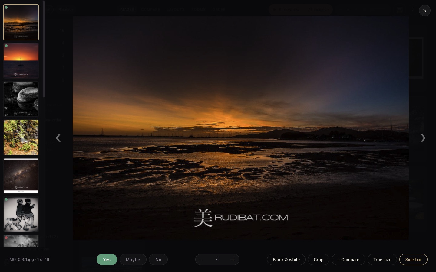 The single photo viewer